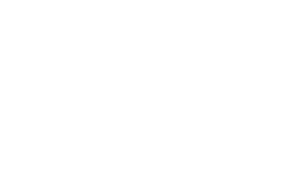 Valorant logo